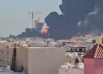 مصر تؤكد دعمها إجراءات الأردن ودول الخليج للحفاظ على أمنها وسيادتها