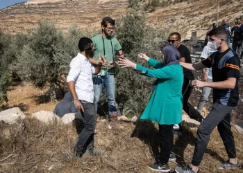 المستوطنون يصعدون هجماتهم الإرهابية في الضفة الغربية