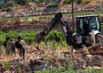الاحتلال يستولي على أكثر من 5 آلاف دونم من أراضي جبع شمال القدس