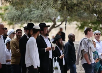 تزامنا مع ما يسمى ذكرى خراب الهيكل.. مئات المستوطنين يقتحمون الأقصى