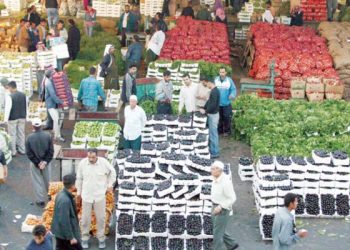 الخريسات: أكثر من مليون دينار لدعم صادرات الخضار والفواكه