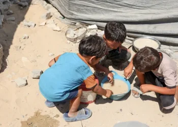 الأمم المتحدة: عائلات في غزة تواجه مستويات كارثية من الجوع