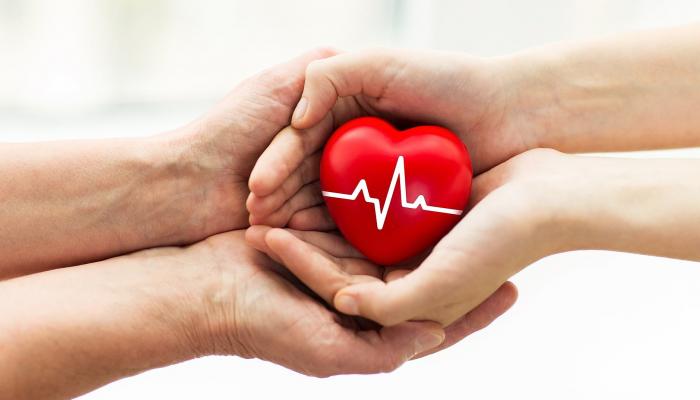 قرارات مجلس الوزراء .. إتاحة تسجيل الرغبة بالتبرع بالأعضاء رقمياً عبر تطبيق سند