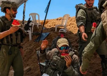إسرائيل تسرق بطيخ فلسطين .. فيديو لجنود الاحتلال يشعل معركة الرموز والتراث