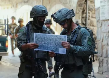 هآرتس: ميليشيات فلسطينية مدعومة إسرائيليا ترتكب جرائم حرب في غزة