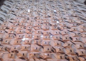 الجيش يحبط تهريب كمية كبيرة من المواد المخدرة بواسطة بالونات موجهة