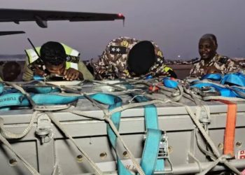 تمساح نيلي يعود من الأردن إلى موطنه في محمية الدندر السودانية