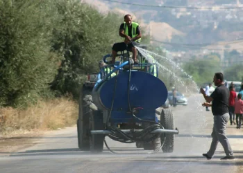 الباقورة تسجل أعلى درجة حرارة في المملكة بـ43.1 مئوية