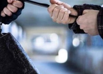 لص يسرق حقيبة مريضة وينهب راتبها الشهري في مستشفى السلط