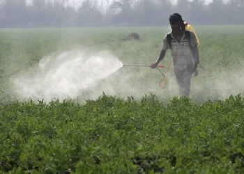متخصصون يحذرون من الإفراط في استخدام المبيدات الزراعية