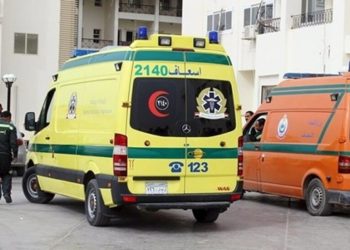 مصادر : وفاة 10 أردنيين في حادثة انقلاب حافلة في سيناء المصرية