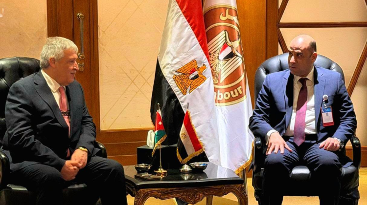 وزير العمل يبحث ونظيره المصري ملف العمالة في الأردن
