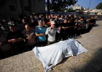 7 شهداء وعدد من الإصابات بقصف الاحتلال عدة مناطق في غزة