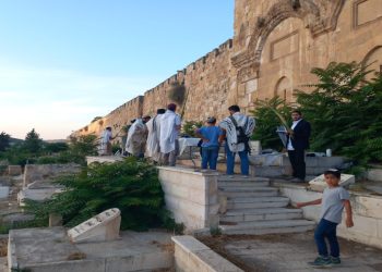 مستوطنون يدنسون مقبرة باب الرحمة المحاذية للمسجد الأقصى