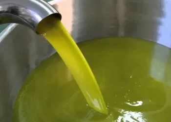 وزارة الزراعة : لا حاجة لاستيراد زيت الزيتون في ظل وفرة الإنتاج