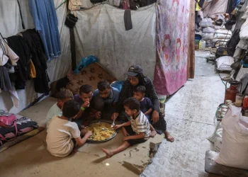 الأغذية العالمي: وقف المساعدات لنصف مليون فلسطيني في غزة