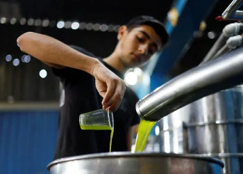 الأمن العام يُحبط أكبر عملية غش لزيت الزيتون في إربد