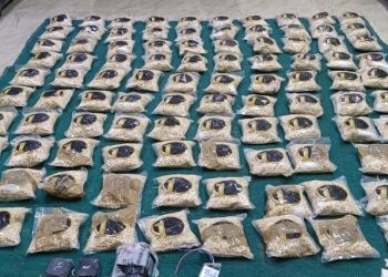 الجيش يحبط محاولة تهريب كمية كبيرة من المخدرات بواسطة بالونات موجّهة