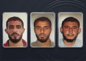 قانوني يوضح المسؤولية الجنائية للجناة والشركاء والمحرّضين في جريمة الكرك