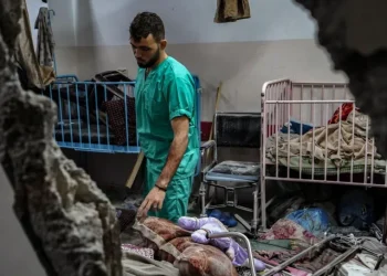 3 سنوات من العدوان.. المنظومة الصحية في غزة تصارع للبقاء